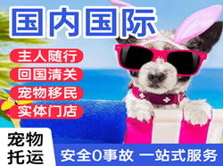 黔东南黎平国际宠物托运 【国